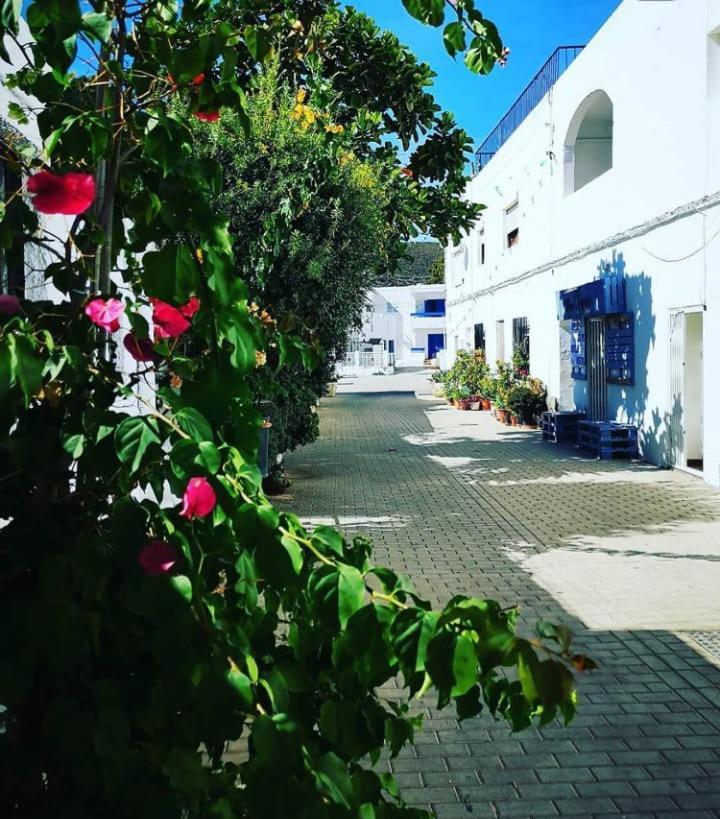 Casa Del Pez Vivienda A Pie De Calle En Agua Amarga A 250 Metros De La Playa 외부 사진
